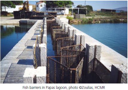 Fish barriers in Papas lagoon