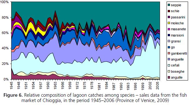 Relative composition of lagoon catches among species – sales data from the fish market of Chioggia, in the period 1945–2006 (Province of Venice, 2009)