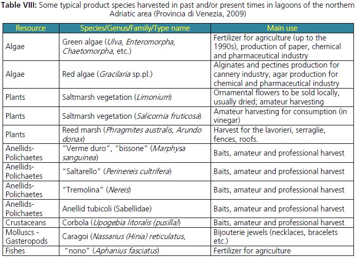 Some typical product species harvested in past and/or present times in lagoons of the northern Adriatic area (Provincia di Venezia, 2009)