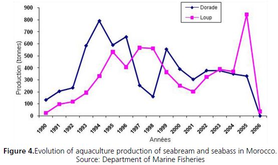 Evolution of aquaculture production of seabream and seabass in Morocco. Source: Department of Marine Fisheries