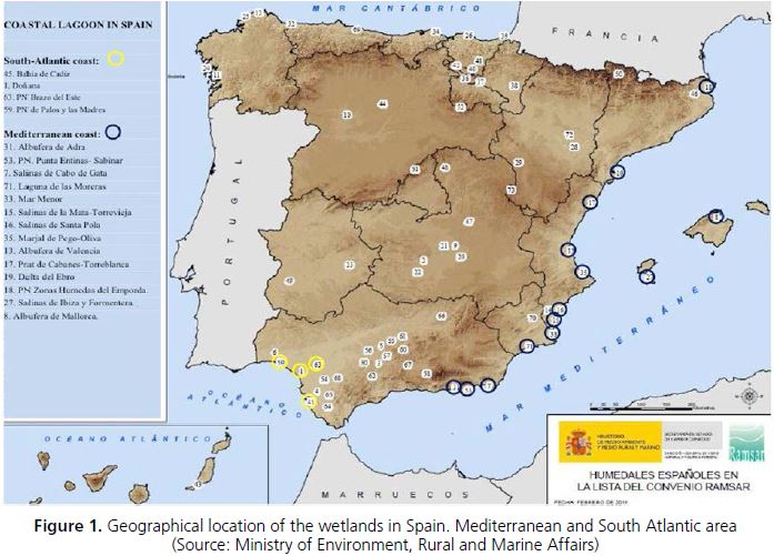 Geographical location of the wetlands in Spain. Mediterranean and South Atlantic area (Source: Ministry of Environment, Rural and Marine Affairs)