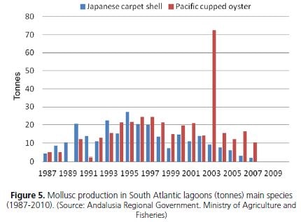 Mollusc production in South Atlantic lagoons (tonnes) main species