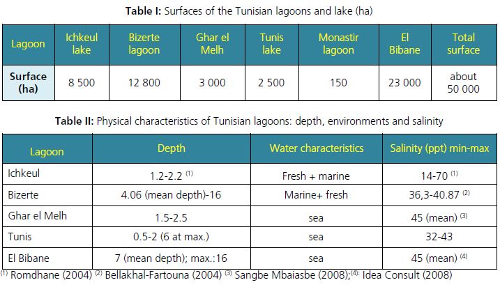 Physical characteristics of Tunisian lagoons: depth, environments and salinity