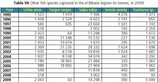 Other fish species captured in the el Bibane lagoon (in tonnes, in 2009)