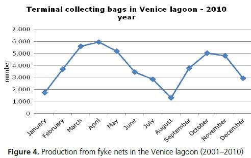 Production from fyke nets in the Venice lagoon (2001–2010)