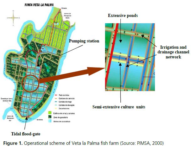Operational scheme of Veta la Palma fish farm