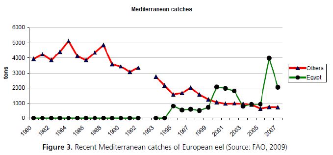 Recent Mediterranean catches of European eel (Source: FAO, 2009)