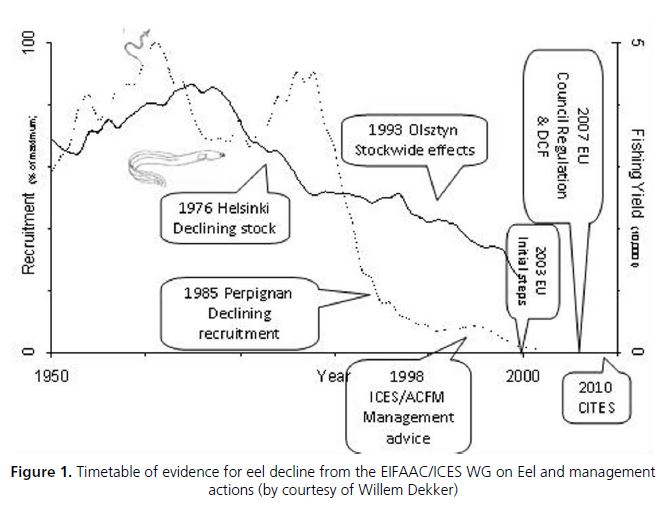 Timetable of evidence for eel decline from the EIFAAC/ICES WG on Eel and management actions 