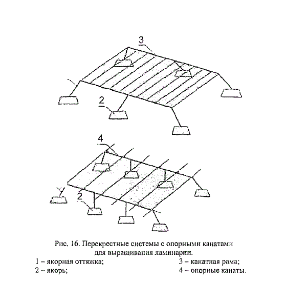 Перекрестные системы с опорными канатами для выращивания ламинарии.