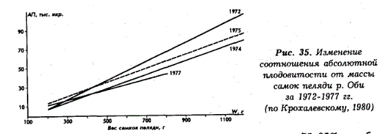Изменение соотношения абсолютной плодовитости от массы самок пеляди р. Оби за 1972-1977 гг.