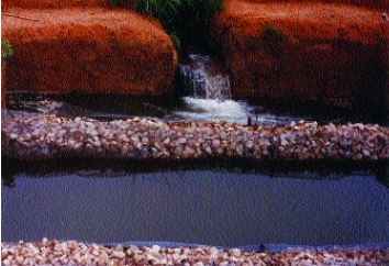 Simple gravel filters on the water intake system help to minimize the predators in freshwater prawn ponds (Peru)