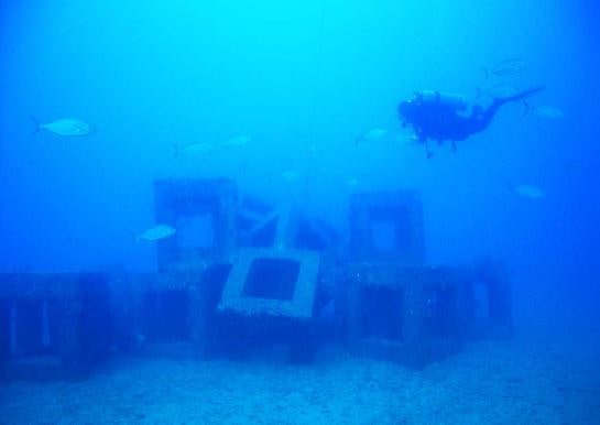 Practical guidelines for the use of artificial reefs in the Mediterranean and the Black Sea  