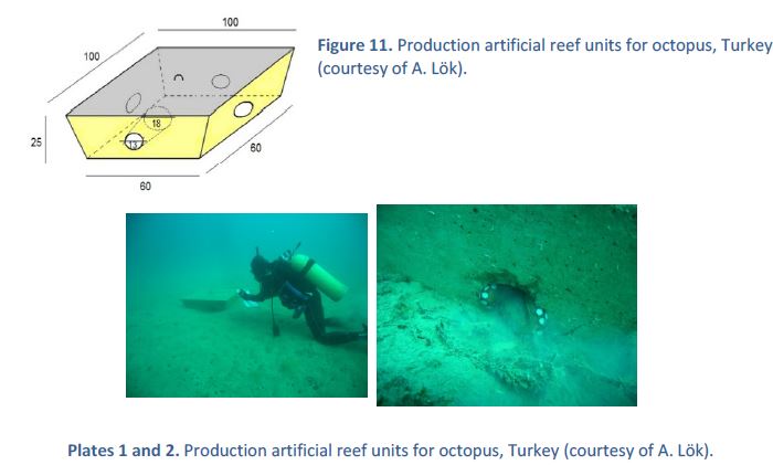 Production artificial reef units for octopus, Turkey (courtesy of A. Lok).