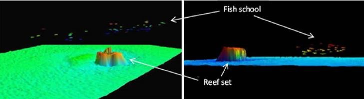 Multibeam echosounder images of fish schools around artificial reef structures in the Adriatic Sea, Italy (courtesy of CNR?ISMAR Ancona).