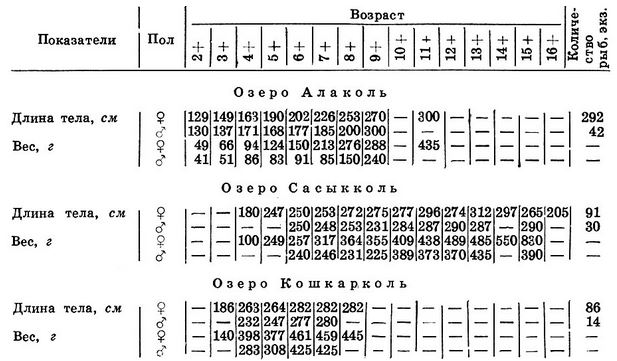 Таблица 2. Длина тела (без С) и вес окуня из Алакольских озер в 1962 г.