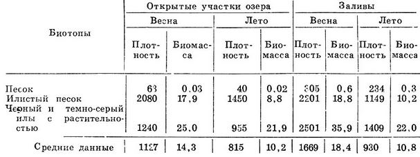 Плотность (экз./м2) и биомасса (г/м2) зообентоса открытых участков и заливов оз. Иссык-Куль по биотопам