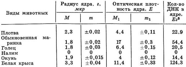 Количество ДНК в ядрах печени рыб и млекопитающих