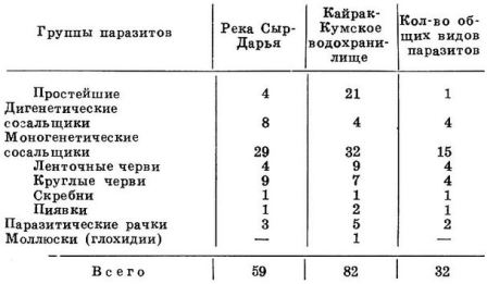 Количество видов паразитов у рыб в р. Сыр-Дарье и Кайрак-Кумском водохранилище