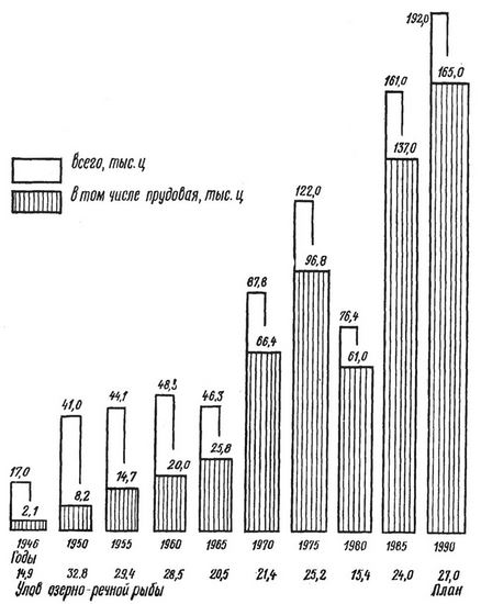 Рис. 1. Улов рыбы предприятиями Управления рыбного хозяйства за послевоенный период, тыс. ц