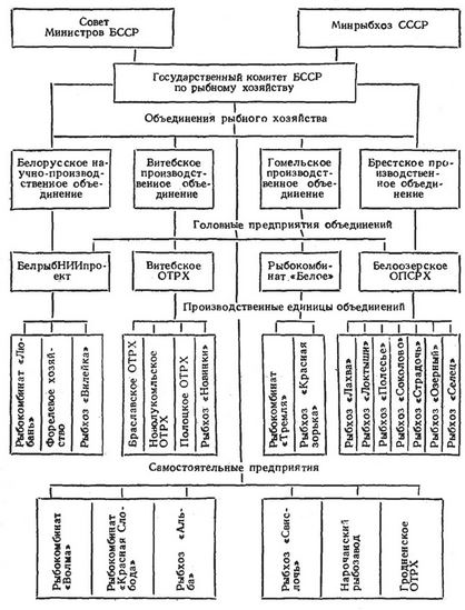 Рис. 2. Структура управления рыбным хозяйством республики