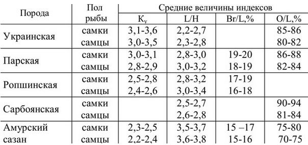 Таблица 1. Индексы телосложения пород карпа