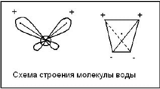 Схема строения молекулы воды