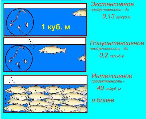 Эффективность рыбоводства