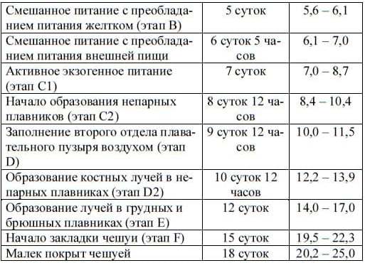 Развитие карпа в условиях прудового хозяйства Ташкентской области при температуре воды 19 – 24о.