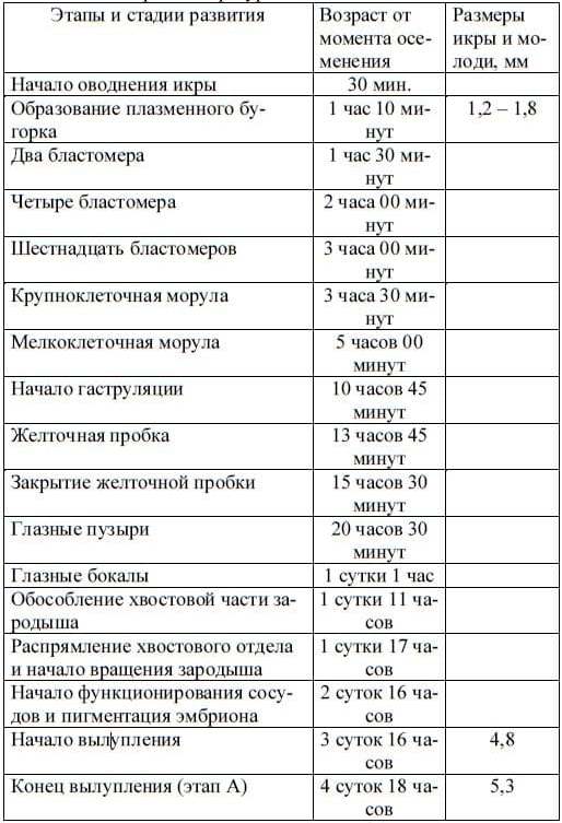 Развитие карпа в условиях прудового хозяйства Ташкентской области при температуре воды 19 – 24о.