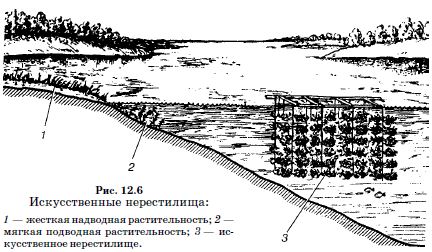 Искусственные нерестилища