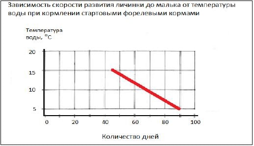 Особенности жизненного цикла