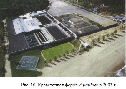 Креветочная ферма Aqualider в 2003 г.