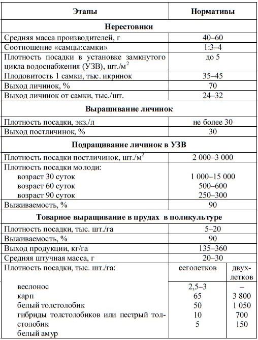 Этапы выращивания гигантской пресноводной креветки на юге России