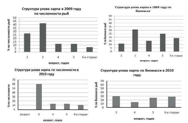 Возрастная структура лова карпа в 2009 (верхняя строка) и в 2010 годах (нижняя строка) в Тудакульском вдхр.