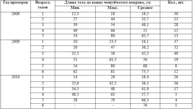 Таблица 12. Эмпирический темп роста поколений карпа Тудакульского водохранилища
