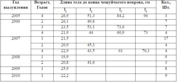 Темп роста рыб разных возрастных групп, разных годов рождения пестрого толстолобика Тудакульского водохранилища (по данным ретроспективного анализа)