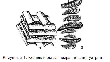 Коллекторы для выращивания устриц