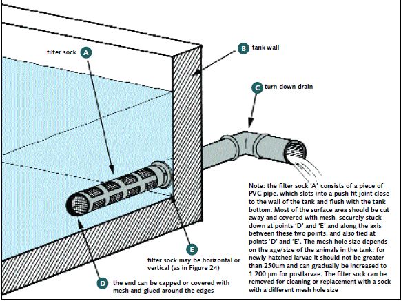 Whatever kind of hatchery tank drain you use, it needs to be protected by a filter sock to prevent the loss of larvae during water-changing operations