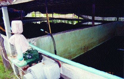 Tanks for storing hypersaline water and freshwater, and for mixing purposes at an inland hatchery in Thailand; note the roof and side covers for excluding aerial pollution and controlling temperature