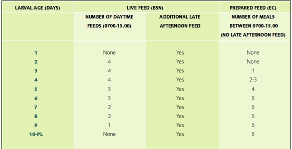 Hatchery feeding schedule