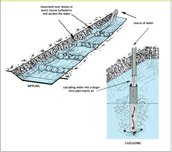 The dissolved oxygen levels of incoming pond water can be increased by rippling and cascading