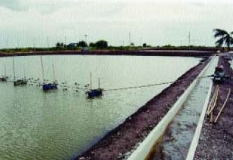 This Thai farm is using a mobile engine to drive long-shaft aerators in two adjacent ponds