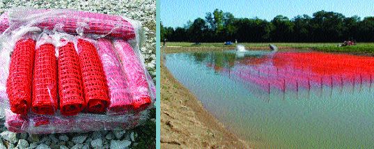 Substrates have been placed vertically in this temperate zone rearing pond for Macrobrachium rosenbergii culture (USA)