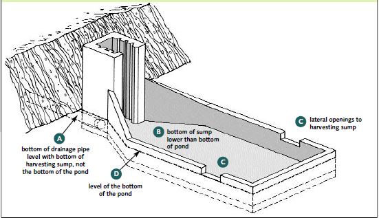 An internal harvesting sump can be used for Macrobrachium rosenbergii during drain-harvesting