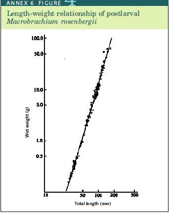 Length-weight relationship of postlarval Macrobrachium rosenbergii