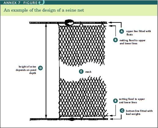 An example of the design of a seine net