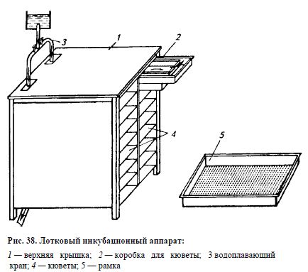 Лотковый инкубационный аппарат